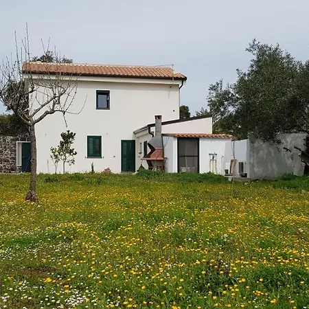 Apartamento Casa Matilda - - Sardegna - Iun R4877 *
